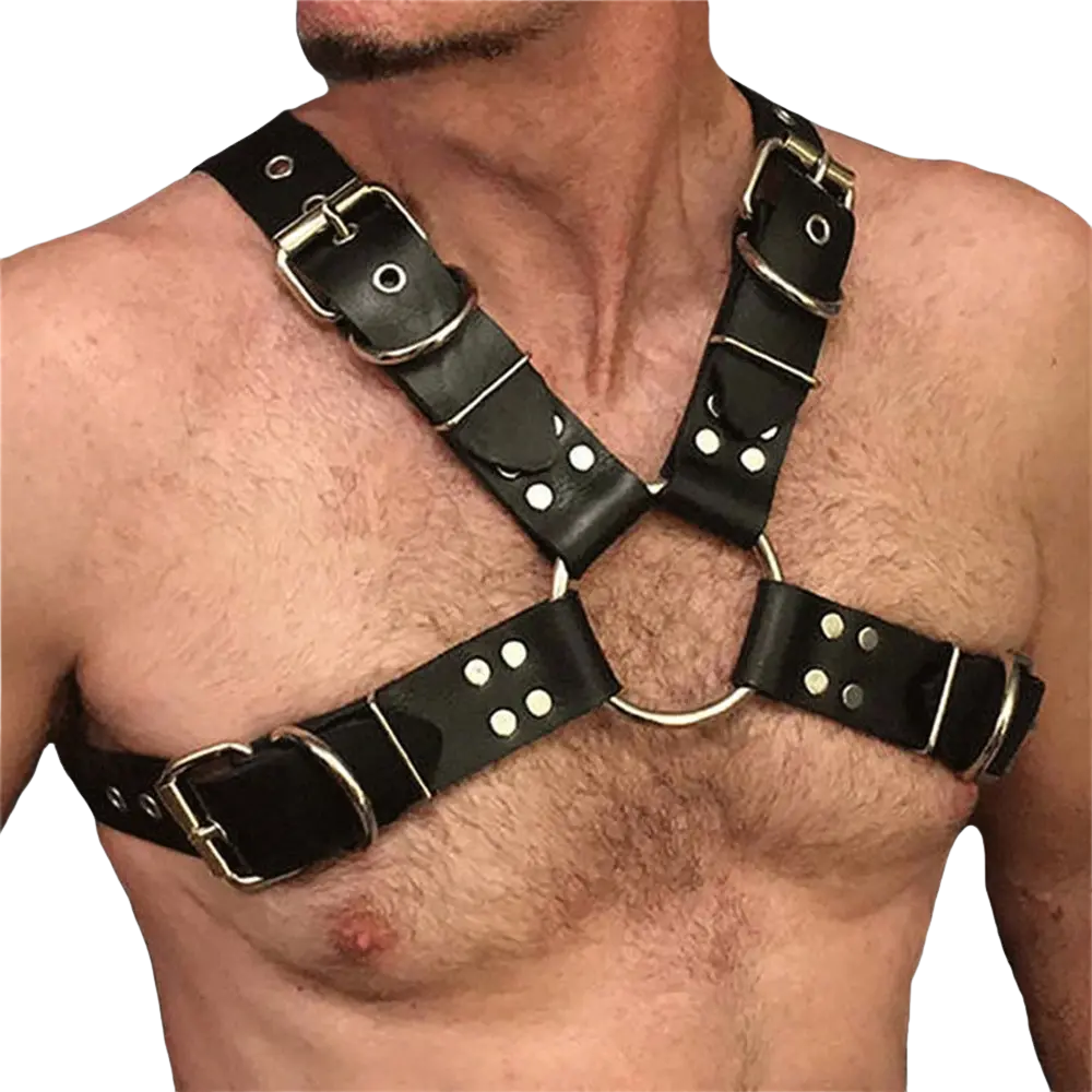 Iron Pulse Harness